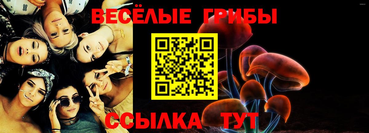 Псилоцибиновые грибы GOLDEN TEACHER  Вход с VPN  где купить   Балабаново  Галлюциногенные грибы прущие грибы 